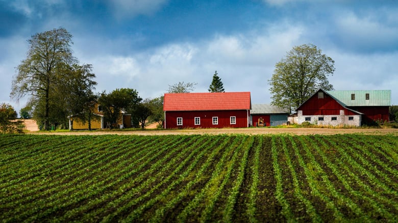 Florida Farmers Face Rising Staffing Pressures