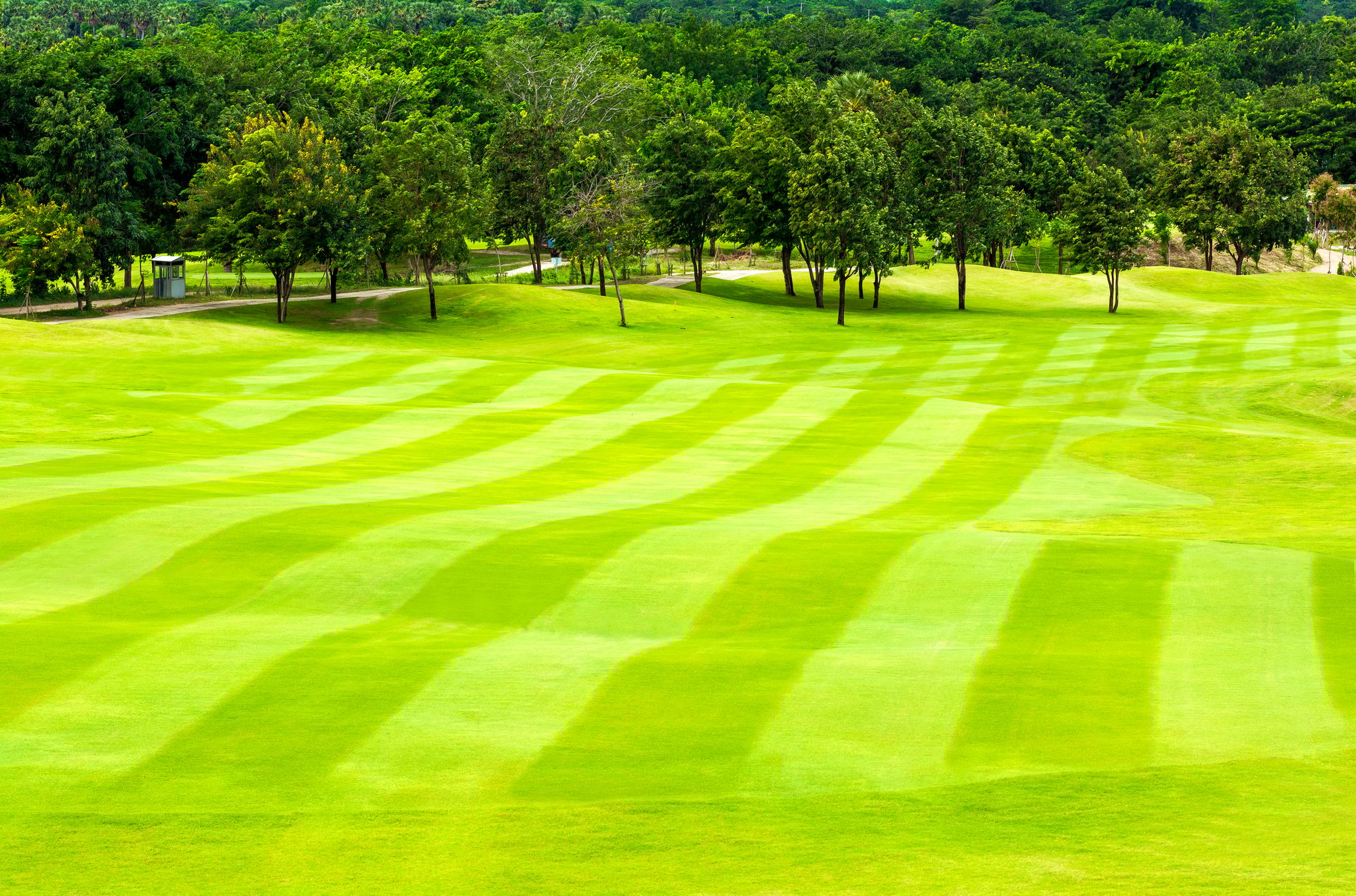 Golf Course Maintenance 3